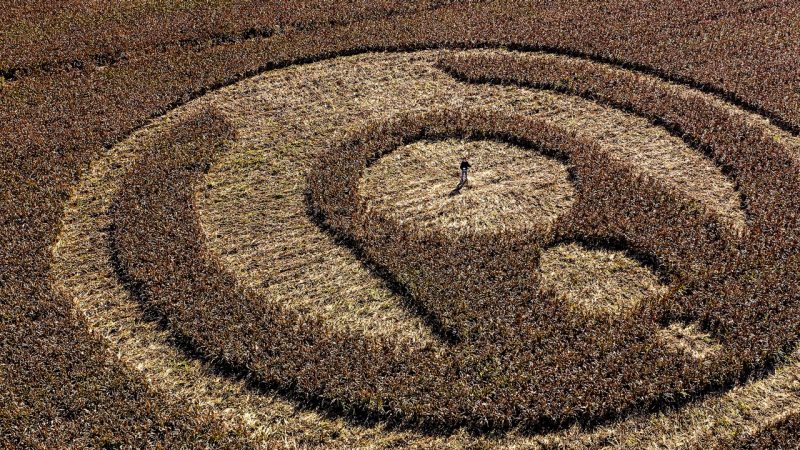 A giant crop circle in Aus had people freaking out - but doesn't that logo look a bit familiar?